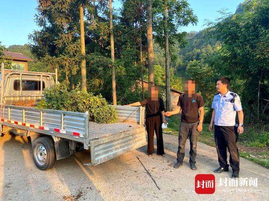 四川任性男子偷景观花木种自家:想每天送一朵给妻子