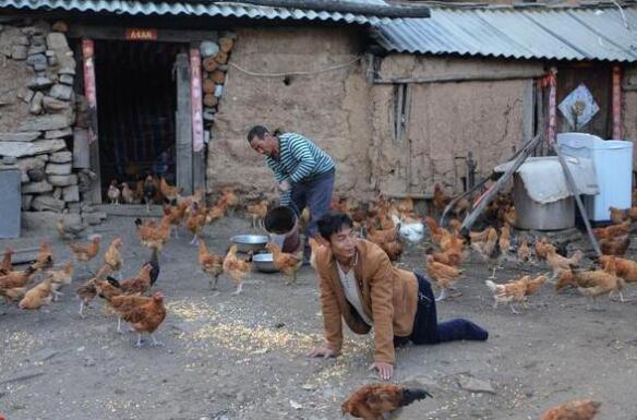 河南双腿截肢小伙创业养鸡 养活父亲 如今怎样